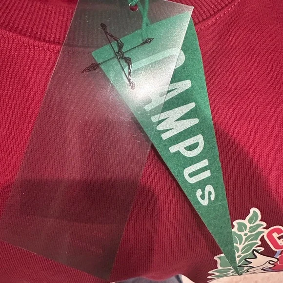 🌍 CAMPUS GOODS “World Class” Graphic Sweatshirt – Men’s XXL - Picture 5 of 5